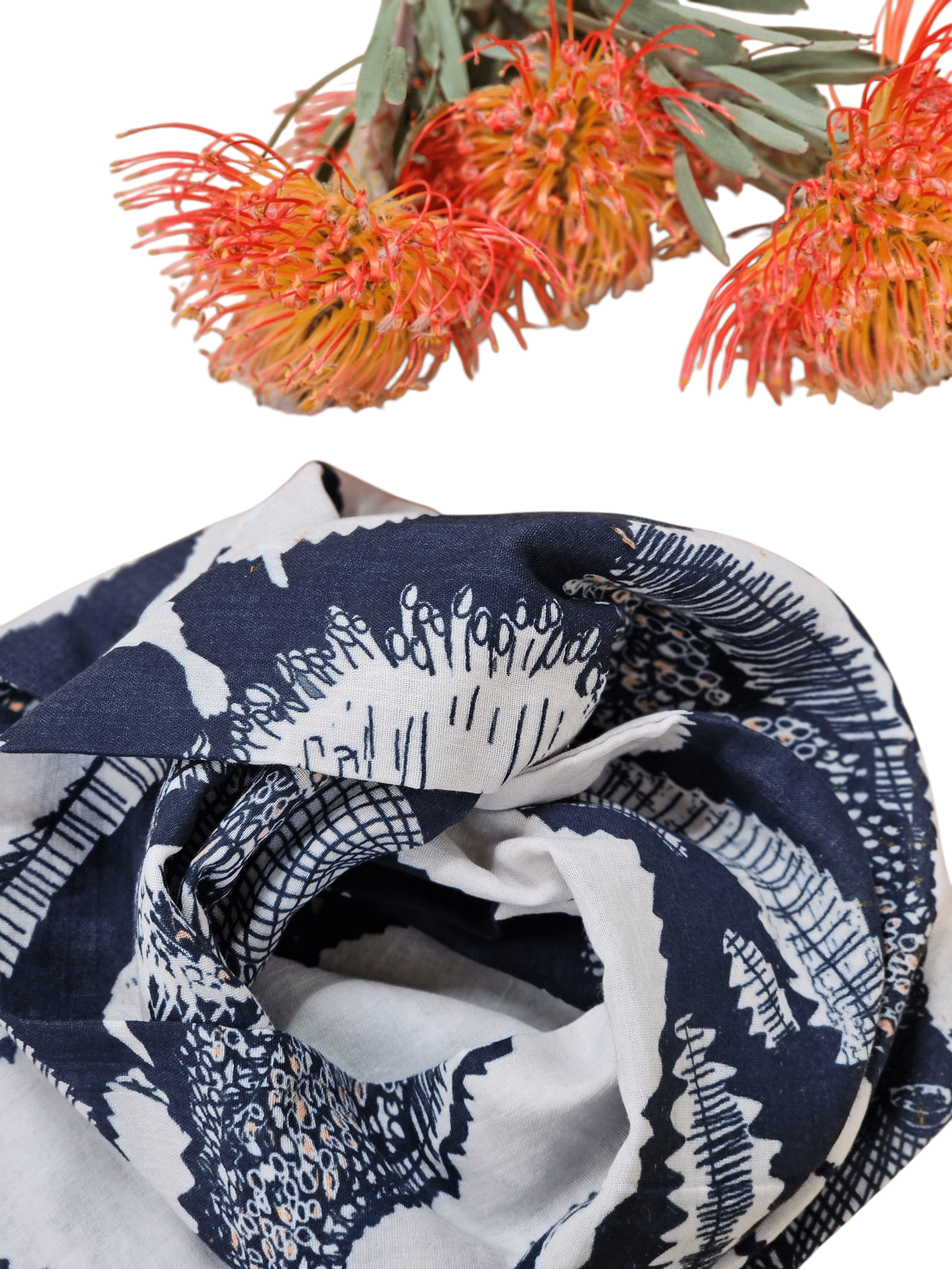 Original Sawtooth Banksia Organic Cotton Scarf scarf The Spotted Quoll 