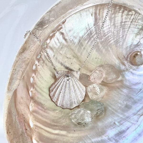 Rare & Beautiful - Tasmania Coastal Collection Pendant The rare and Beautiful Scallop Necklace 