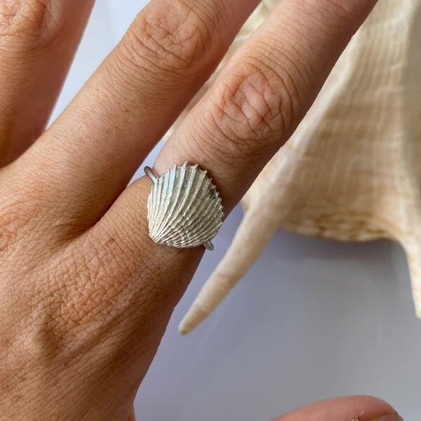 Rare & Beautiful - Tasmania Coastal Collection Pendant The rare and Beautiful Trigona Shell Ring Size O 