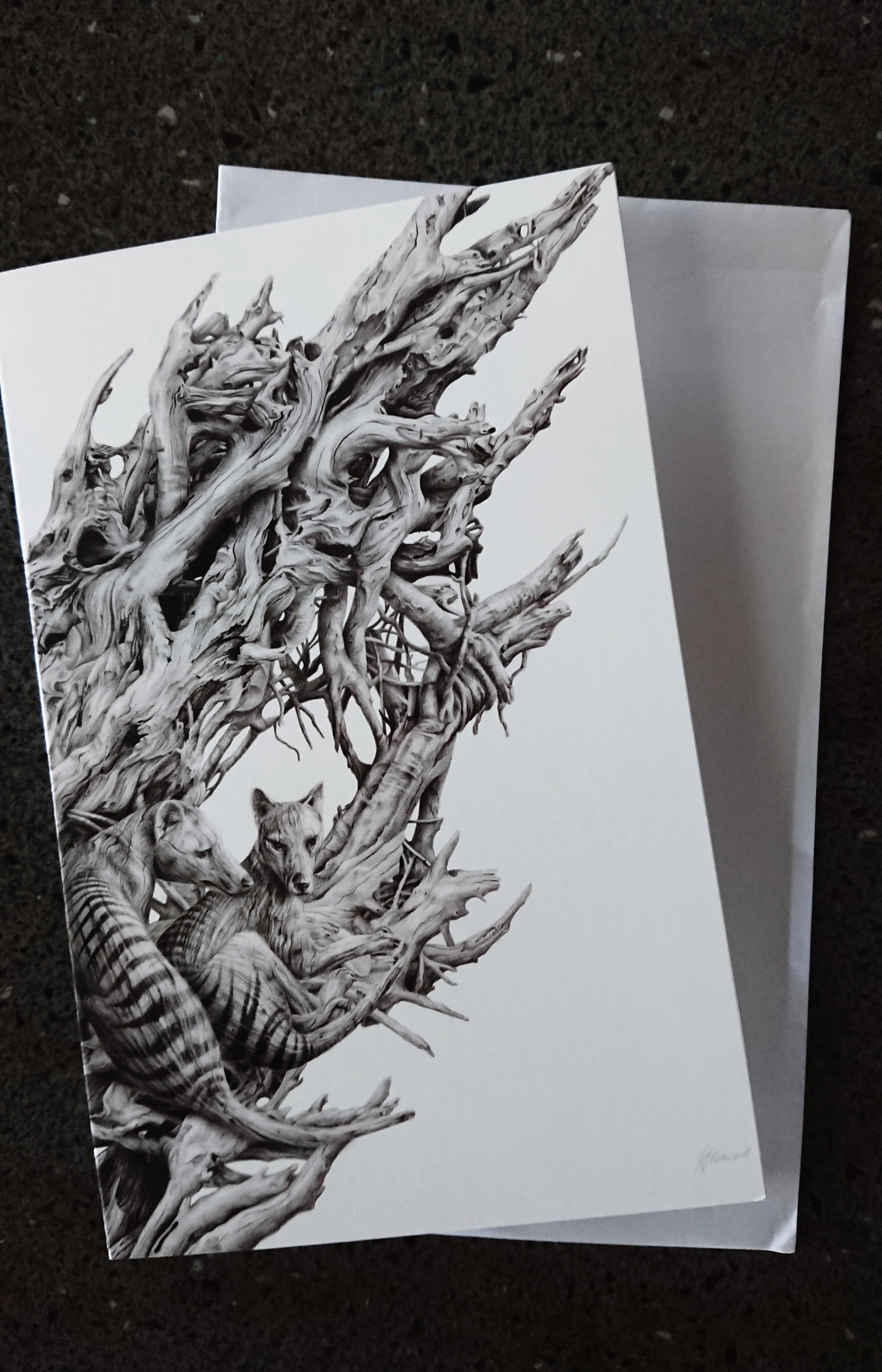 'Driftwood Thylacine' Art Print - Fiona Francois Art Print Fiona Francois 
