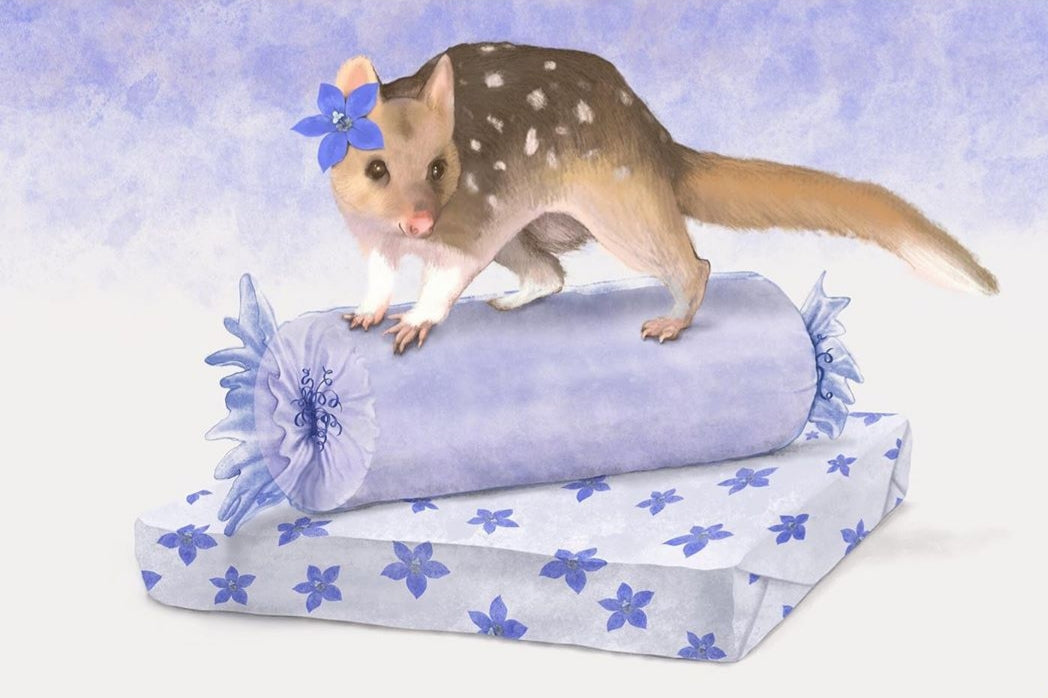 Tasmanian Species Greeting Cards greeting cards Cal Heath Spotted Quoll 