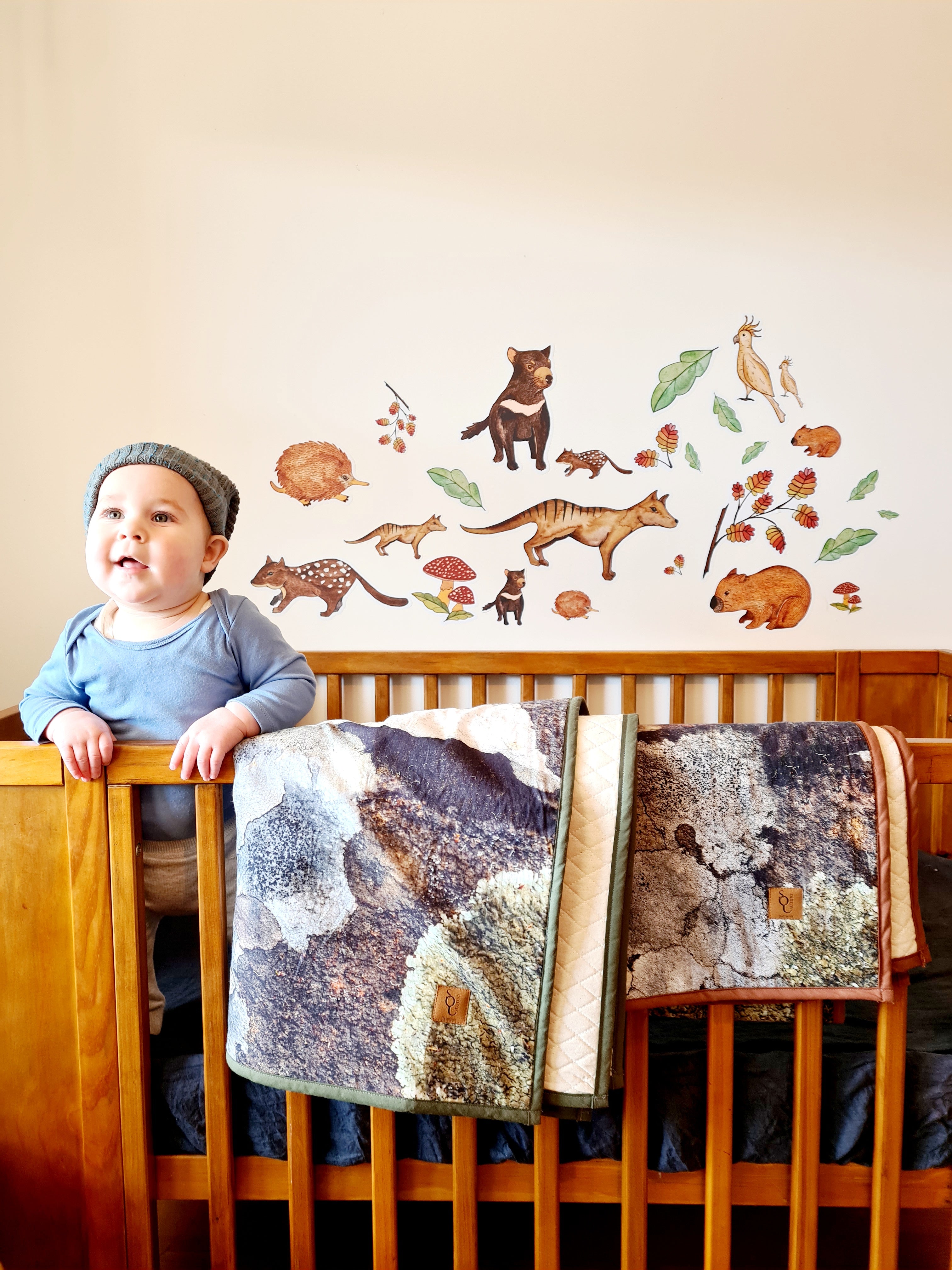 Children’s Tasmanian Woodlands Decals decal The Spotted Quoll 