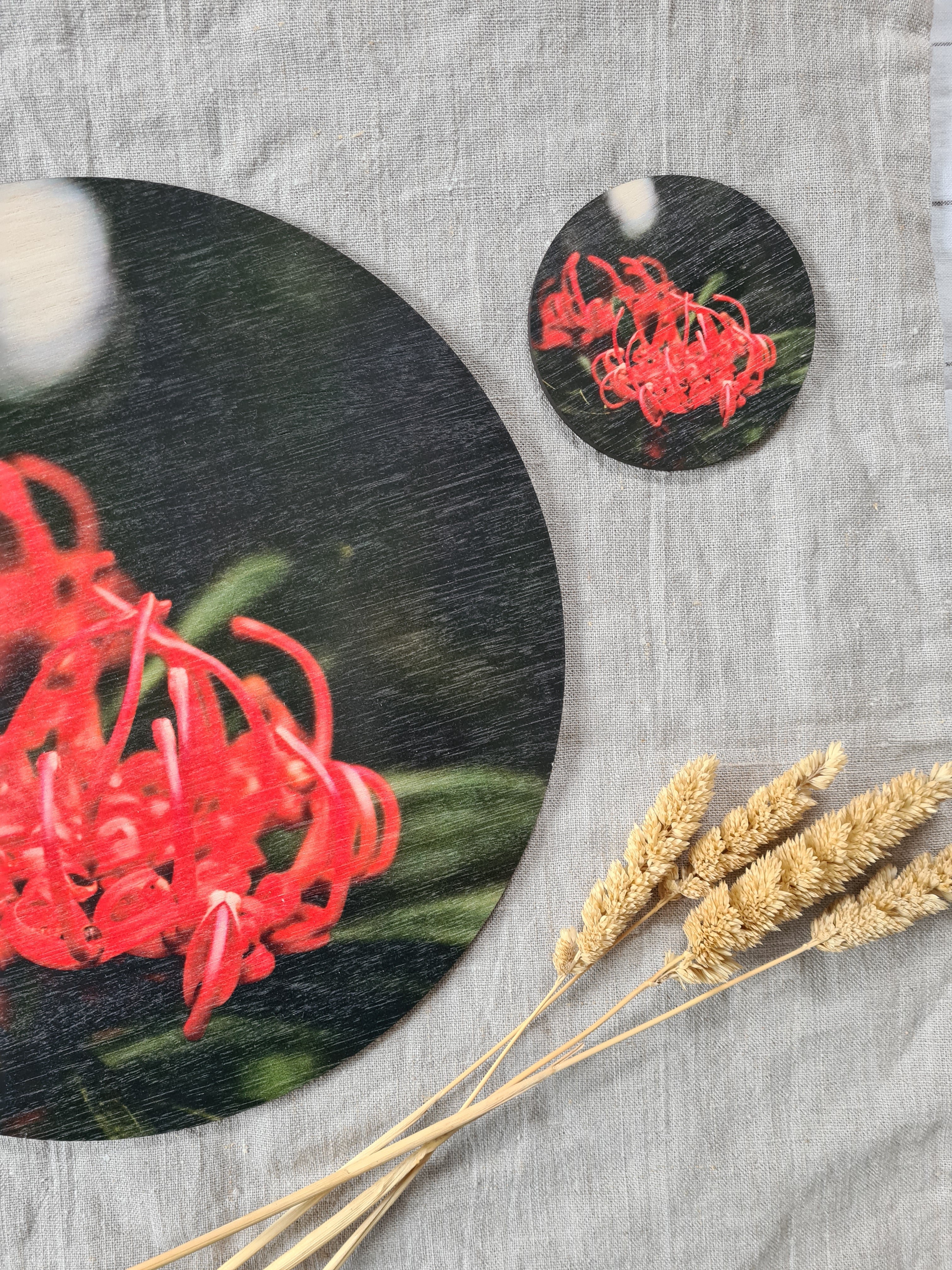 Placemat and Coaster Sets - Hamish Lockett placemats The Spotted Quoll 