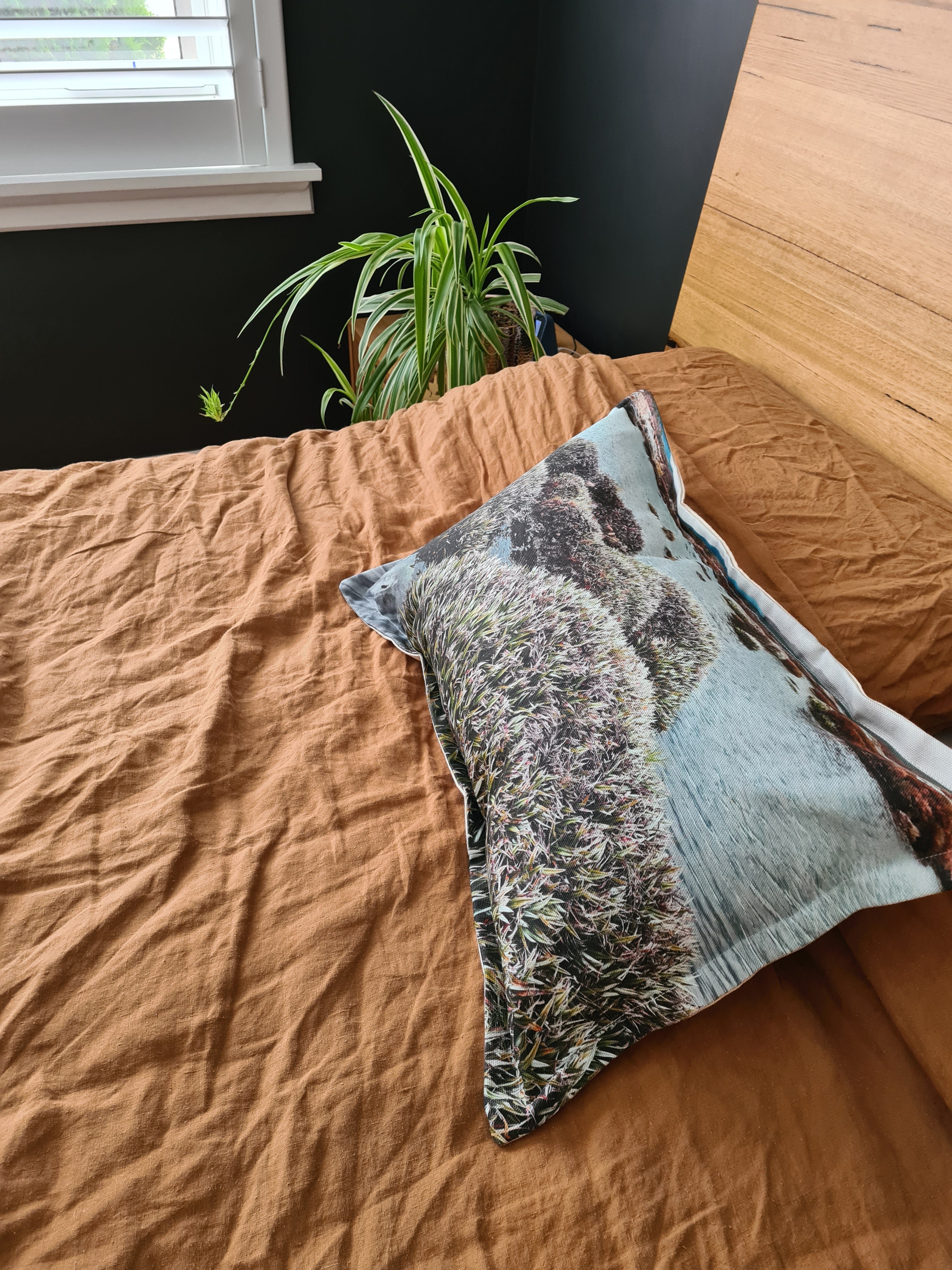 Printed Canvas Cushion - Pineapple Grass Plains Cushions The Spotted Quoll 