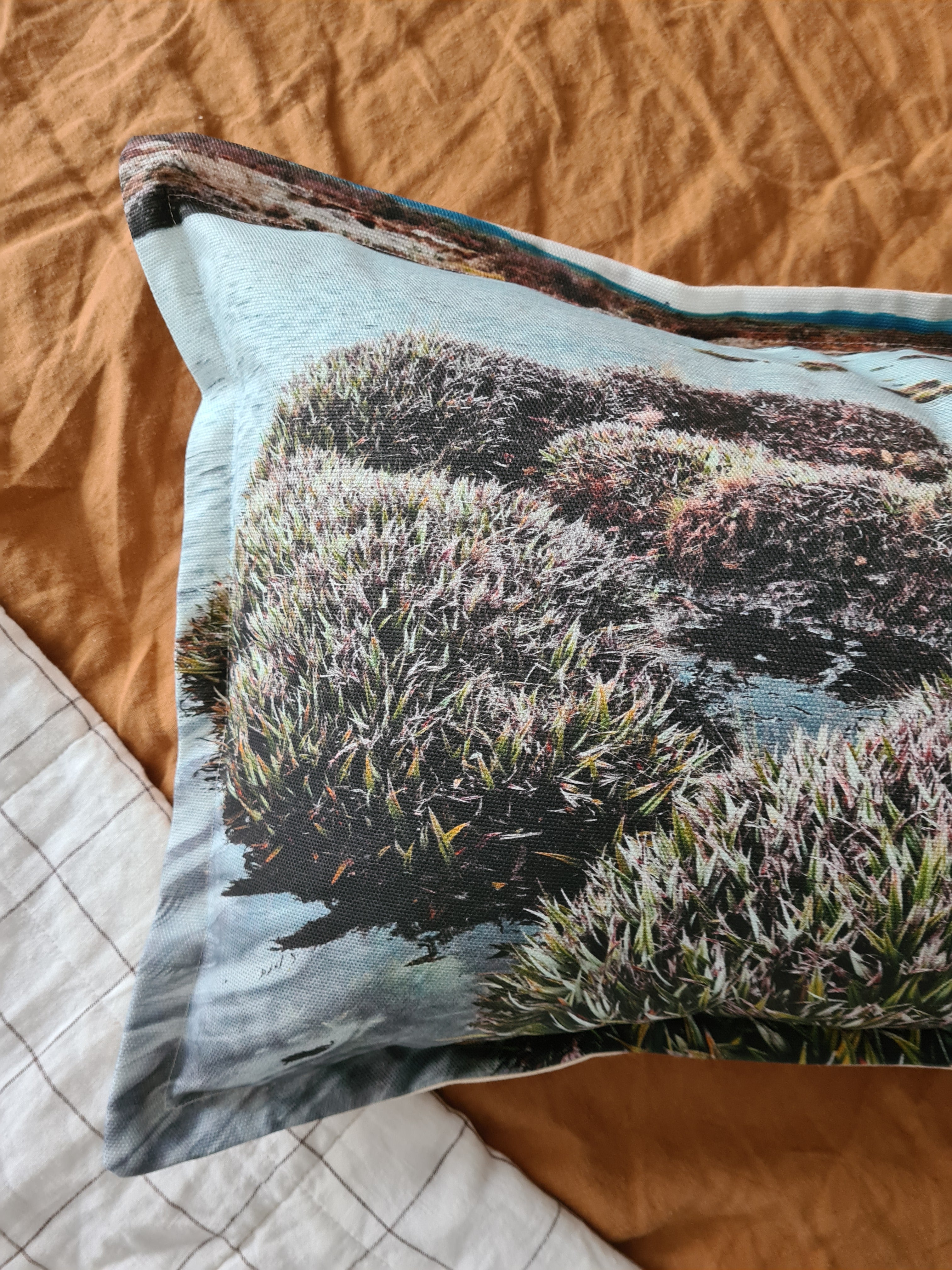 Printed Canvas Cushion - Pineapple Grass Plains Cushions The Spotted Quoll 