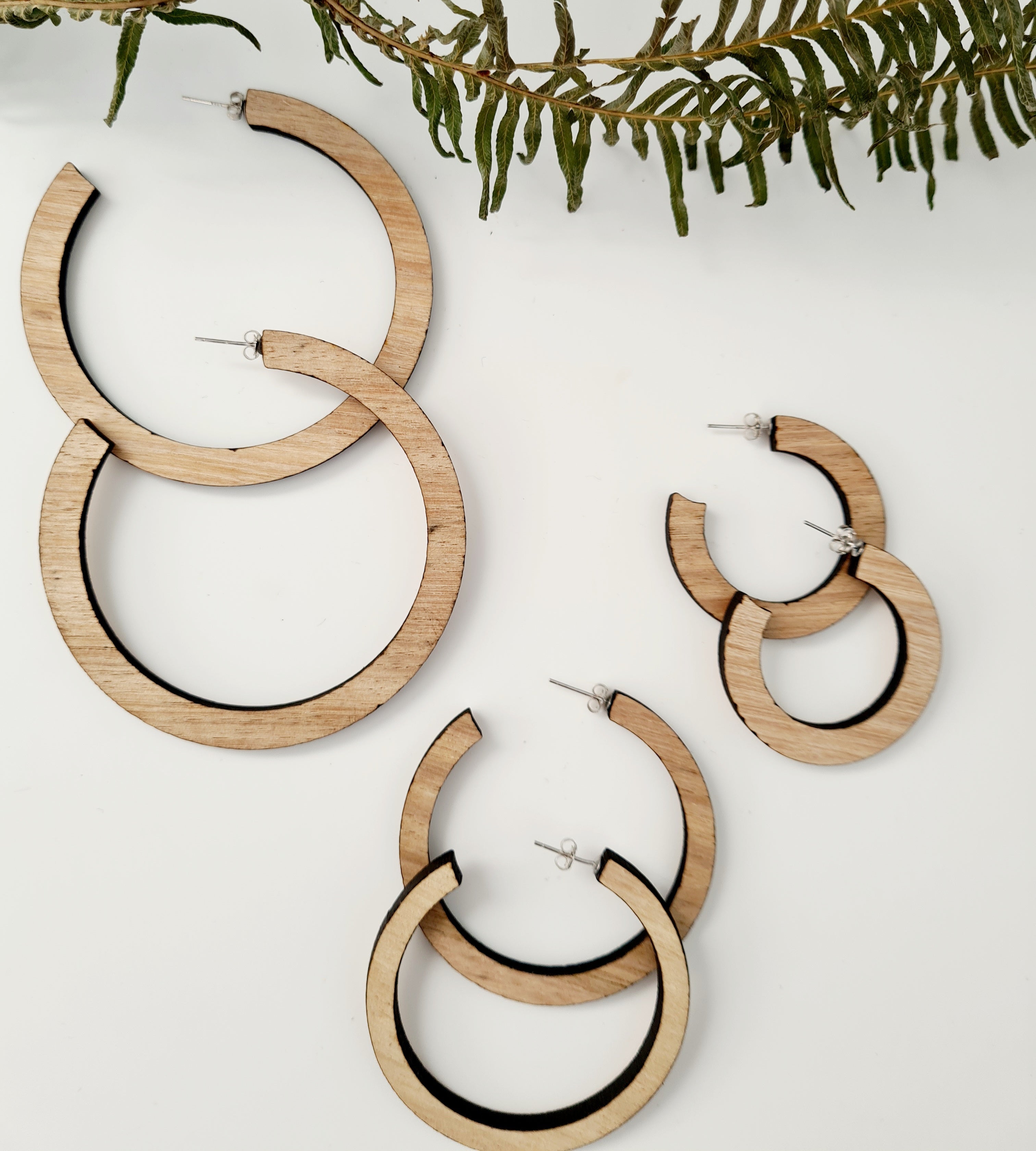 Tasmanian Oak Etched Hoop Earrings - Zero Waste Earrings The Spotted Quoll 