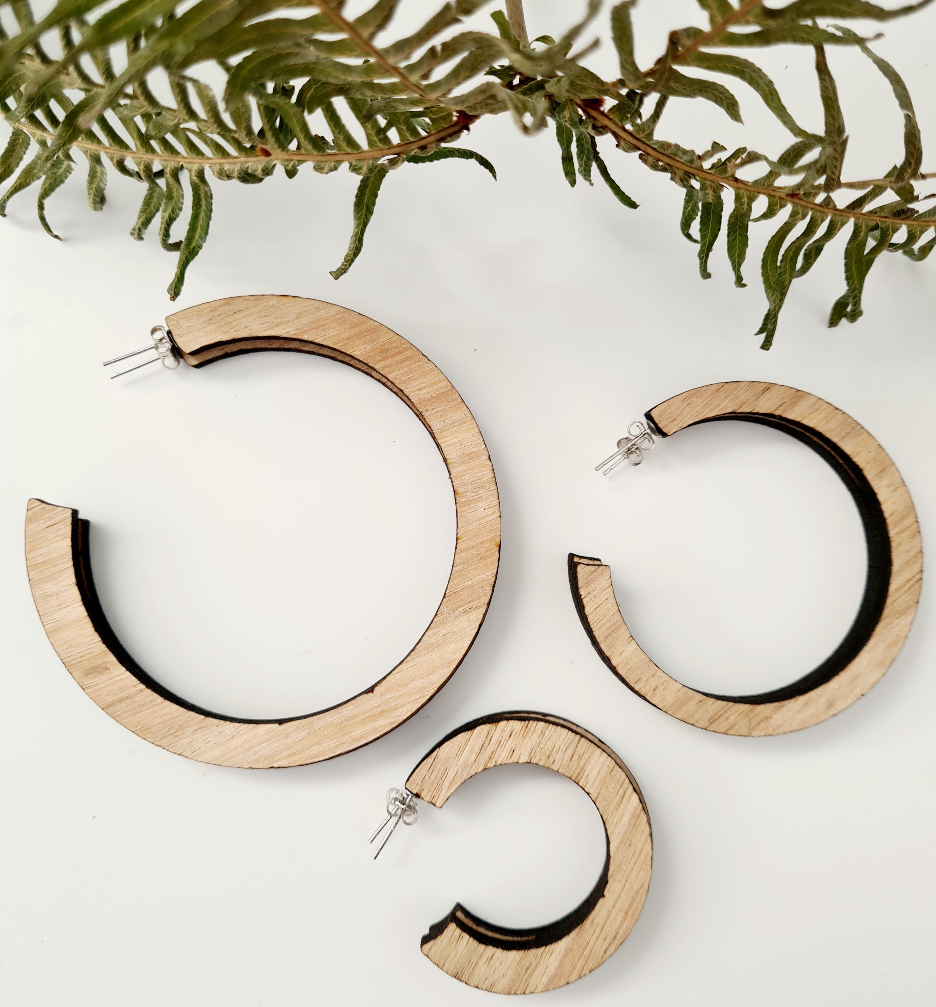 Tasmanian Oak Etched Hoop Earrings - Zero Waste Earrings The Spotted Quoll 