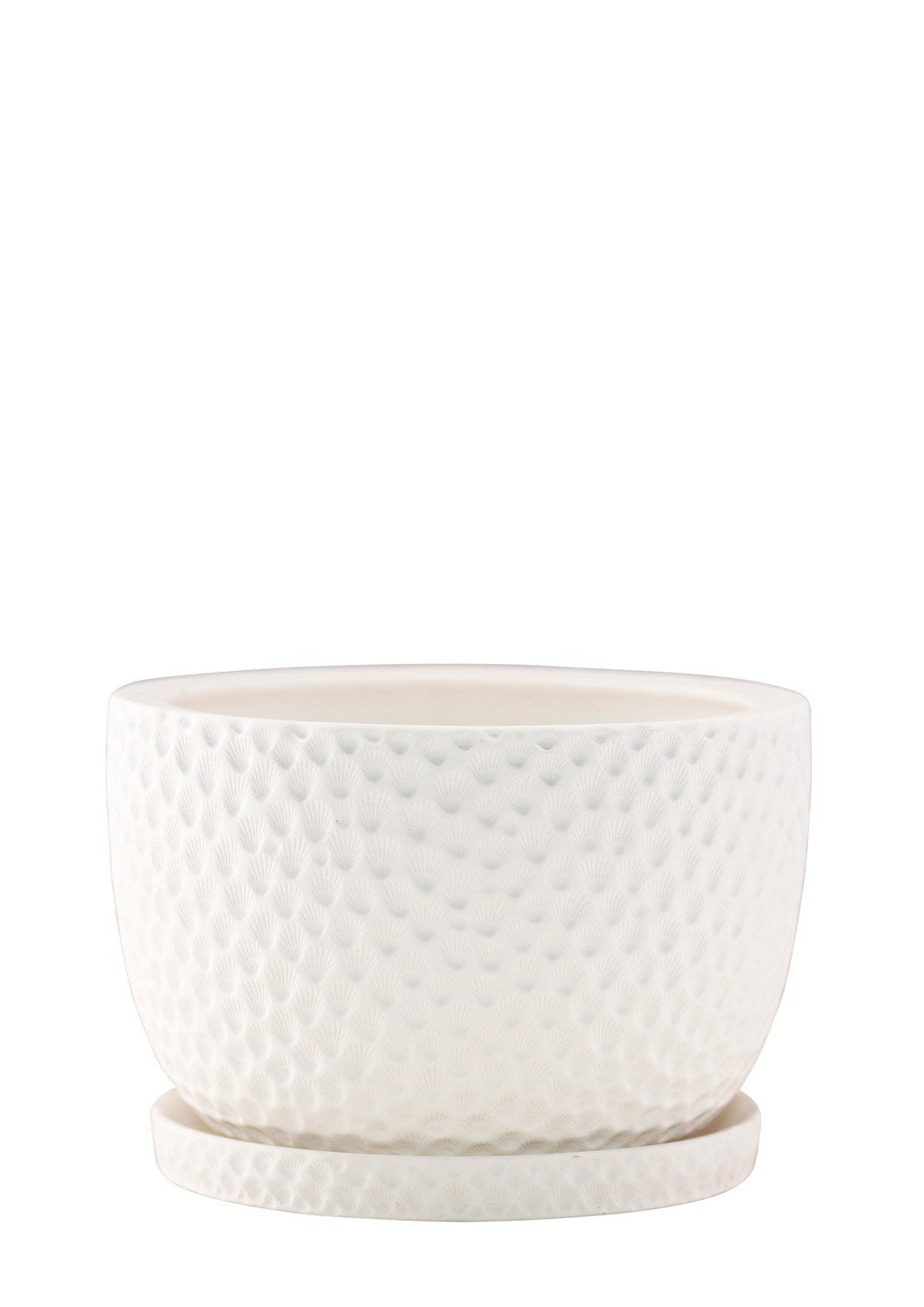 Embossed Plant Pot - Angus and Celeste Pots angus and Celeste 