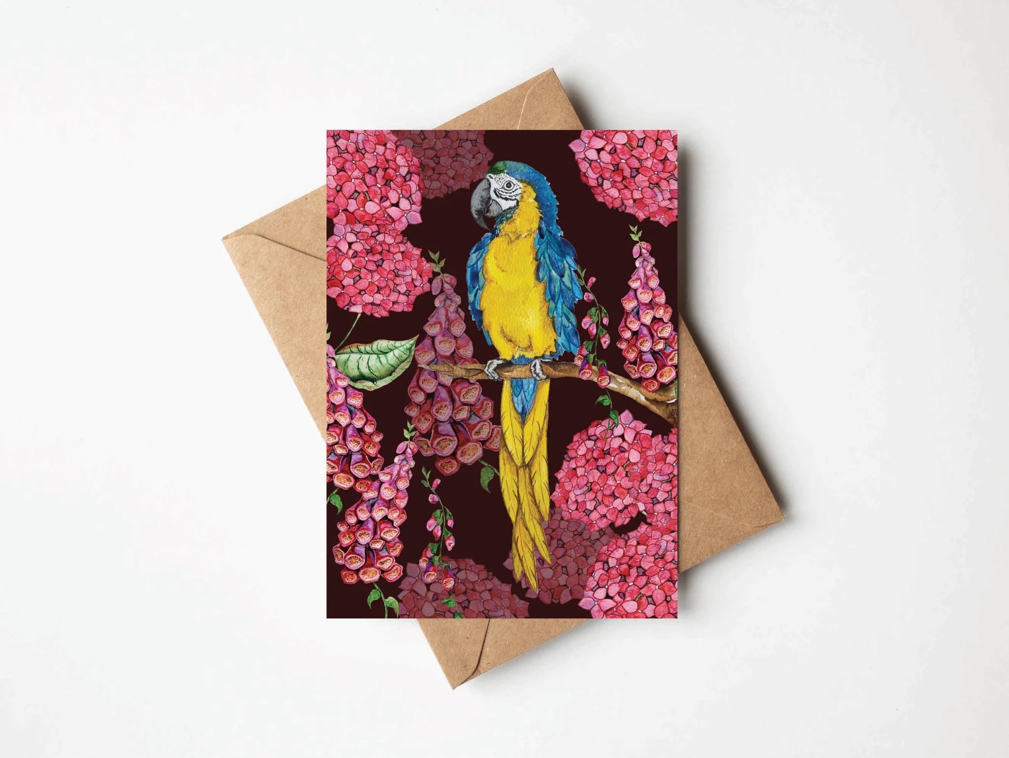 Bosa Art Co Greeting Cards greeting cards Bosa Art Co Macaw 