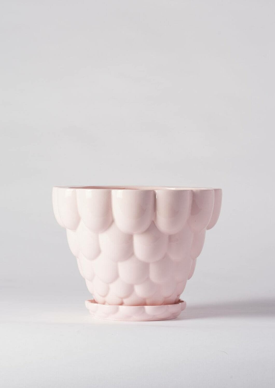 Jelly Plant Pot - Angus and Celeste Pots angus and Celeste Pink 
