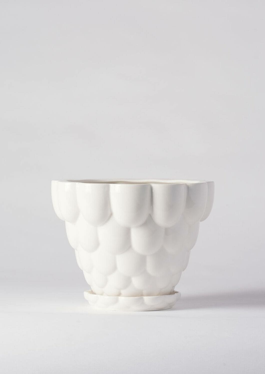 Jelly Plant Pot - Angus and Celeste Pots angus and Celeste White 
