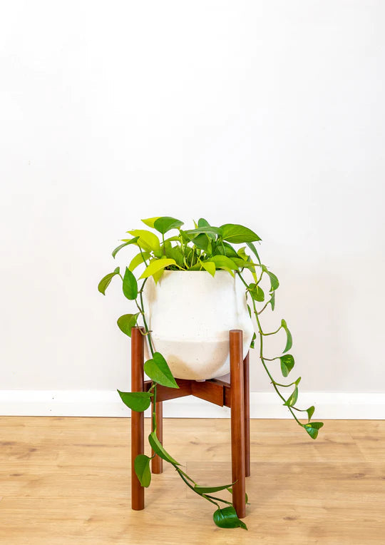 Adjustable Plant Stands - Plantly Co plantary Plantly Co 