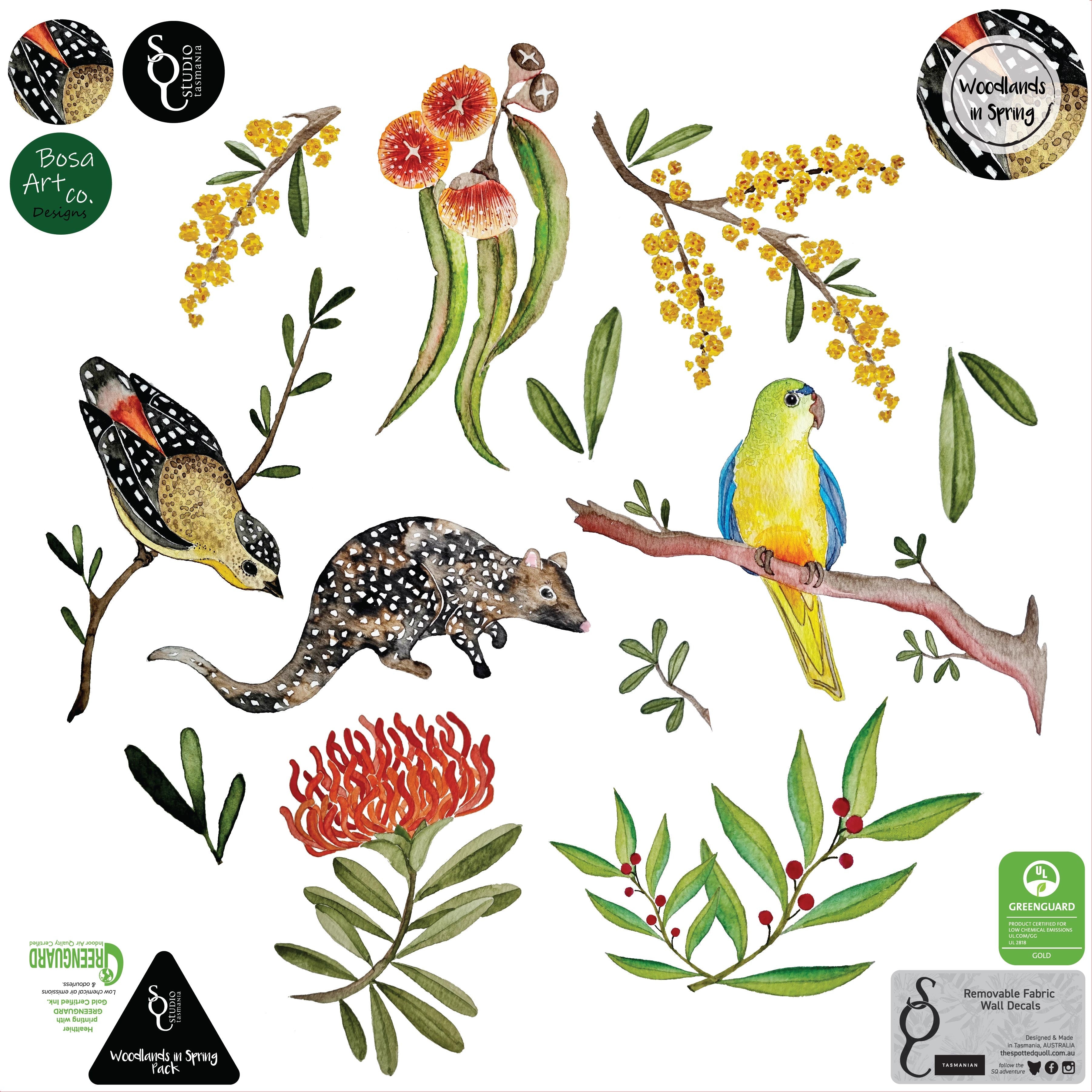 Children’s Tasmanian "Woodlands in Spring" Decals decal The Spotted Quoll 60cm Pack 