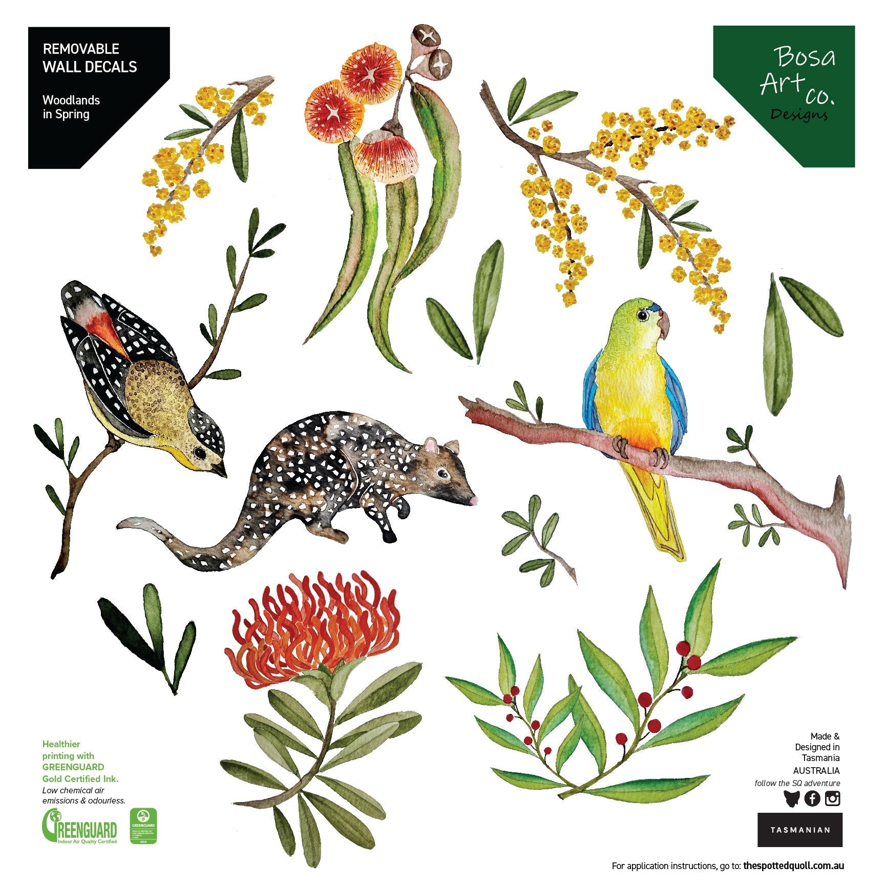 Children’s Tasmanian "Woodlands in Spring" Decals decal The Spotted Quoll 30cm Pack 