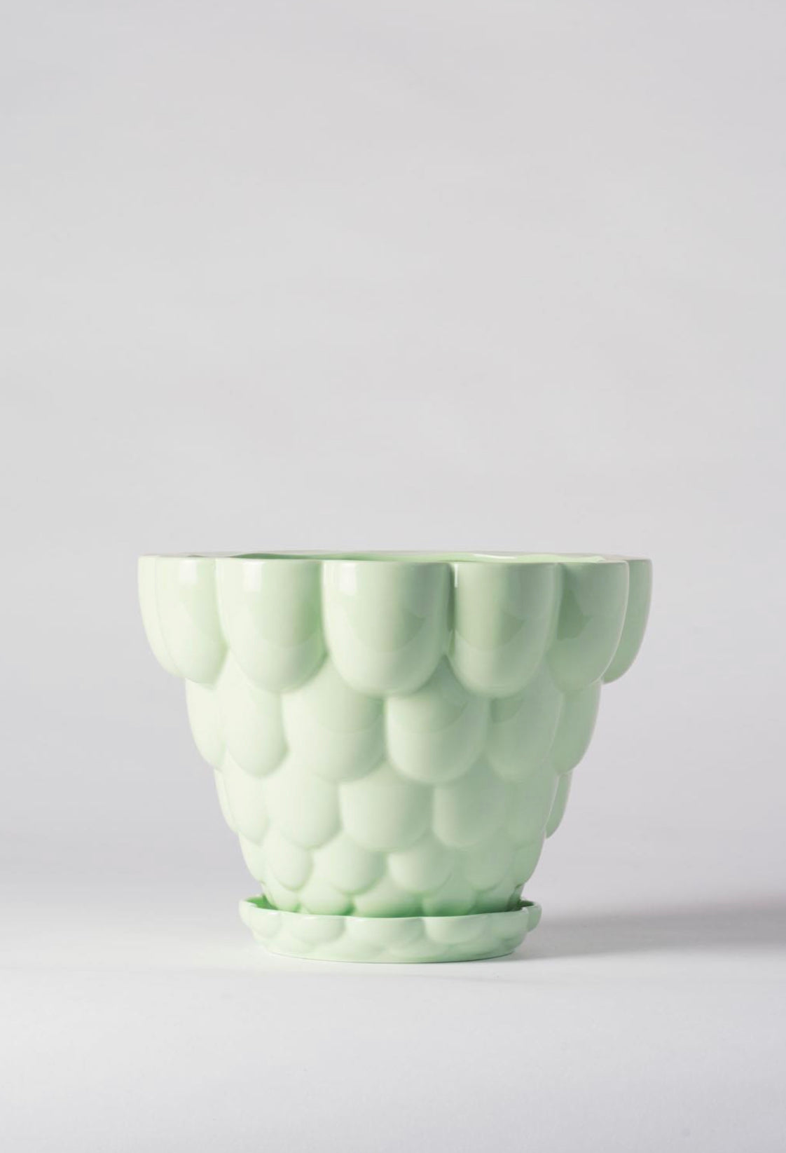 Jelly Plant Pot - Angus and Celeste Pots angus and Celeste Green 