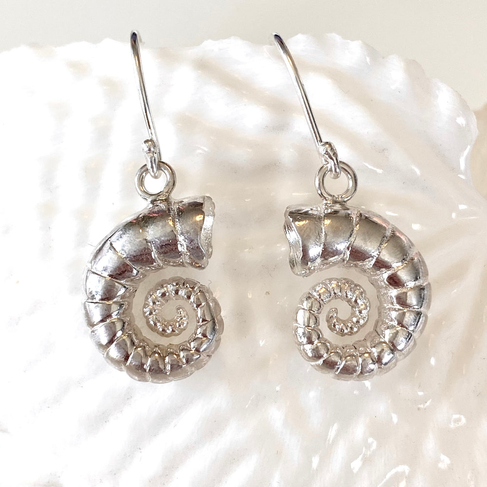 Tasmania Coastal Collection - Silver and Gold Earrings Earrings The rare and Beautiful Rams Horn Earring (25mm) 