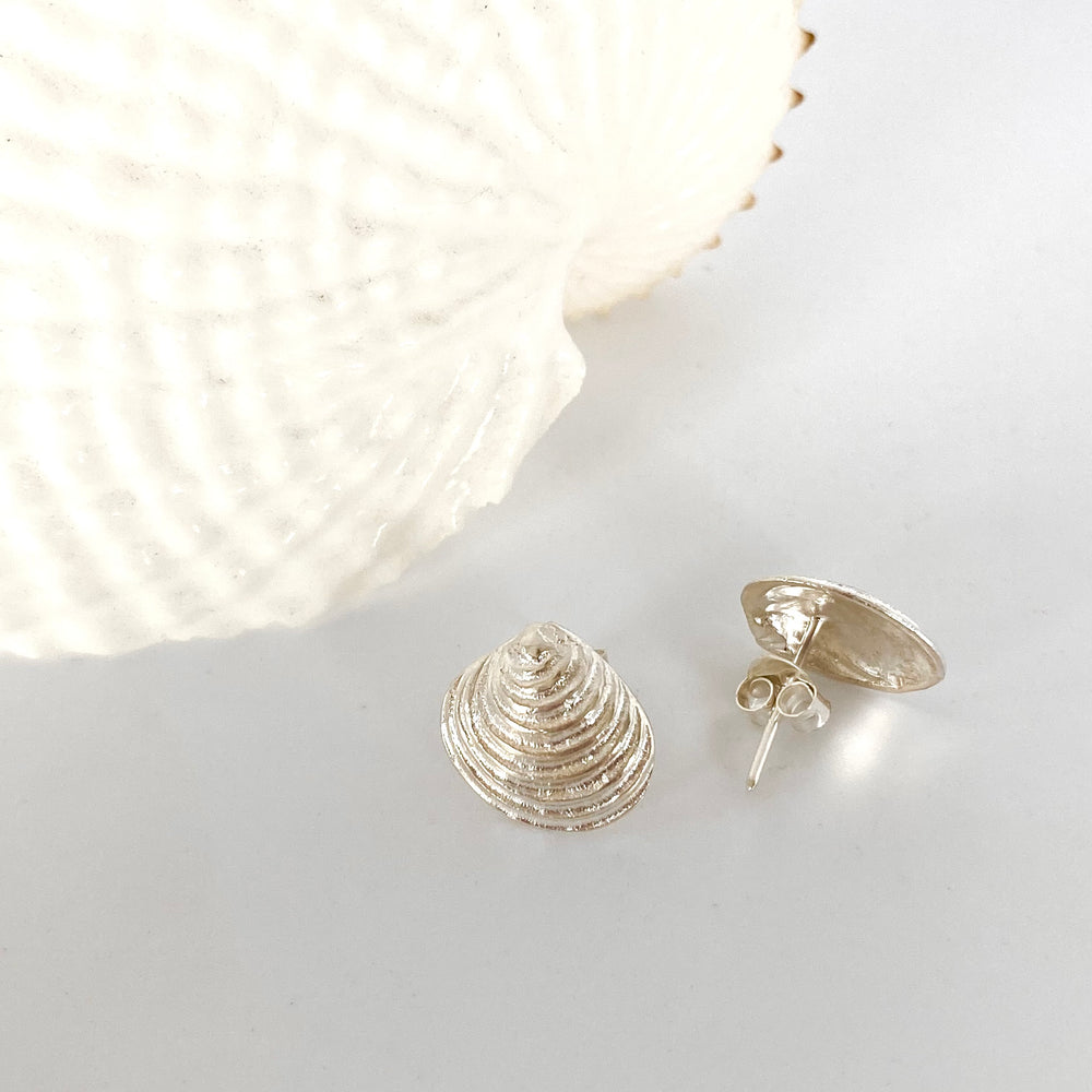 Tasmania Coastal Collection - Silver and Gold Earrings Earrings The rare and Beautiful Venus Shell Stud (15mm) 