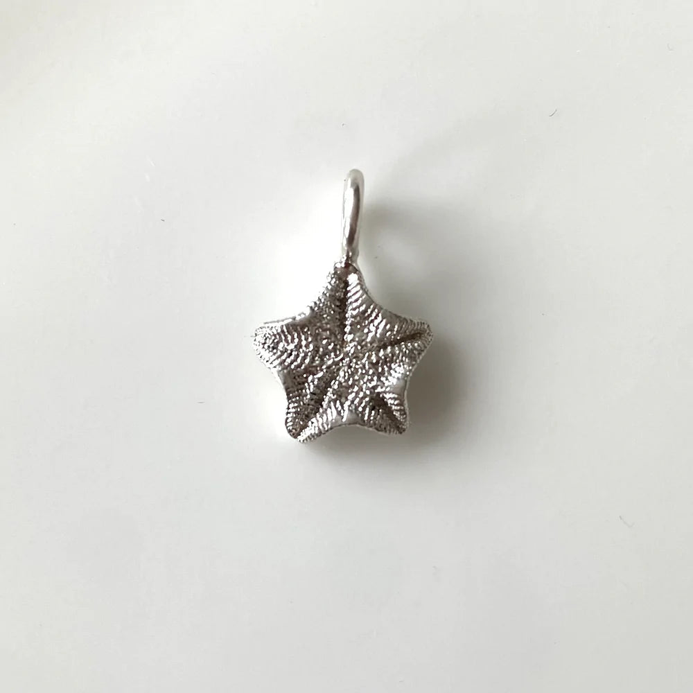 Tasmania Coastal Collection - Silver pendants Pendant The rare and Beautiful Starfish (15mm) 
