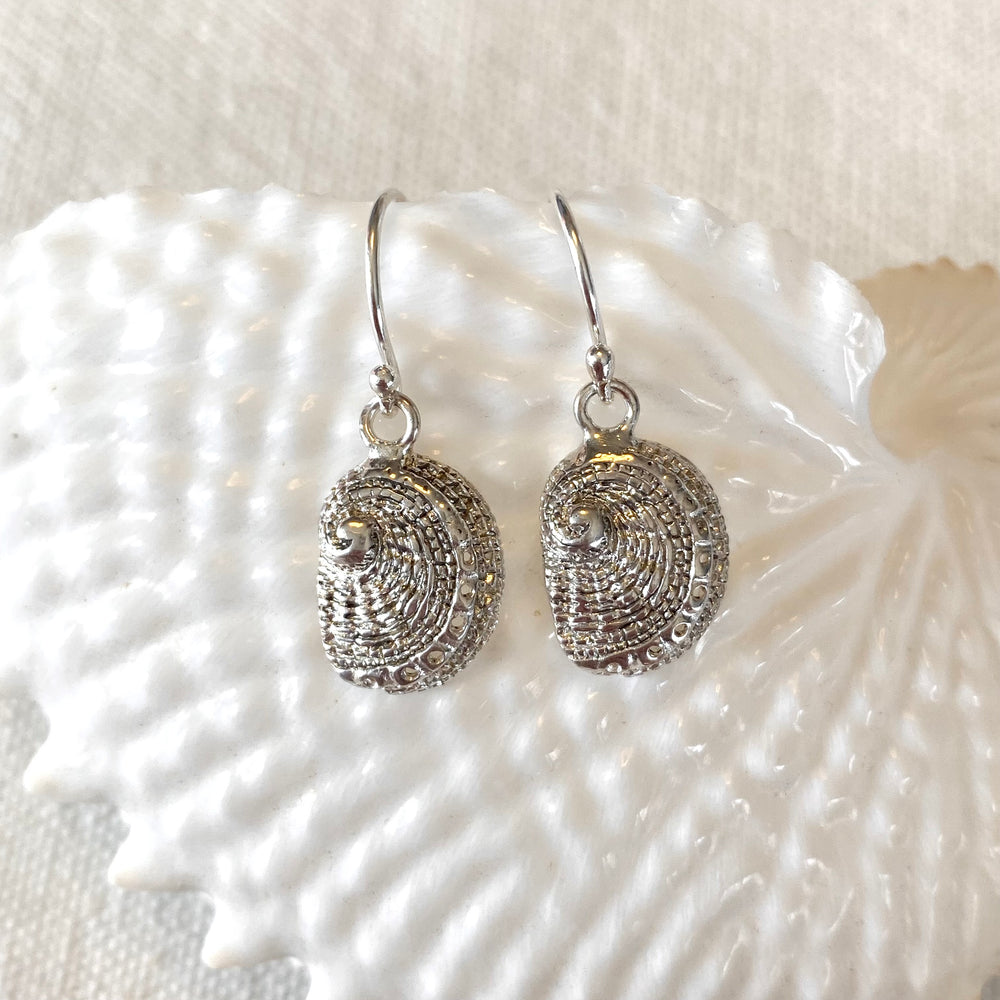 Tasmania Coastal Collection - Silver and Gold Earrings Earrings The rare and Beautiful Abalone Earring Tiny (30mm) 