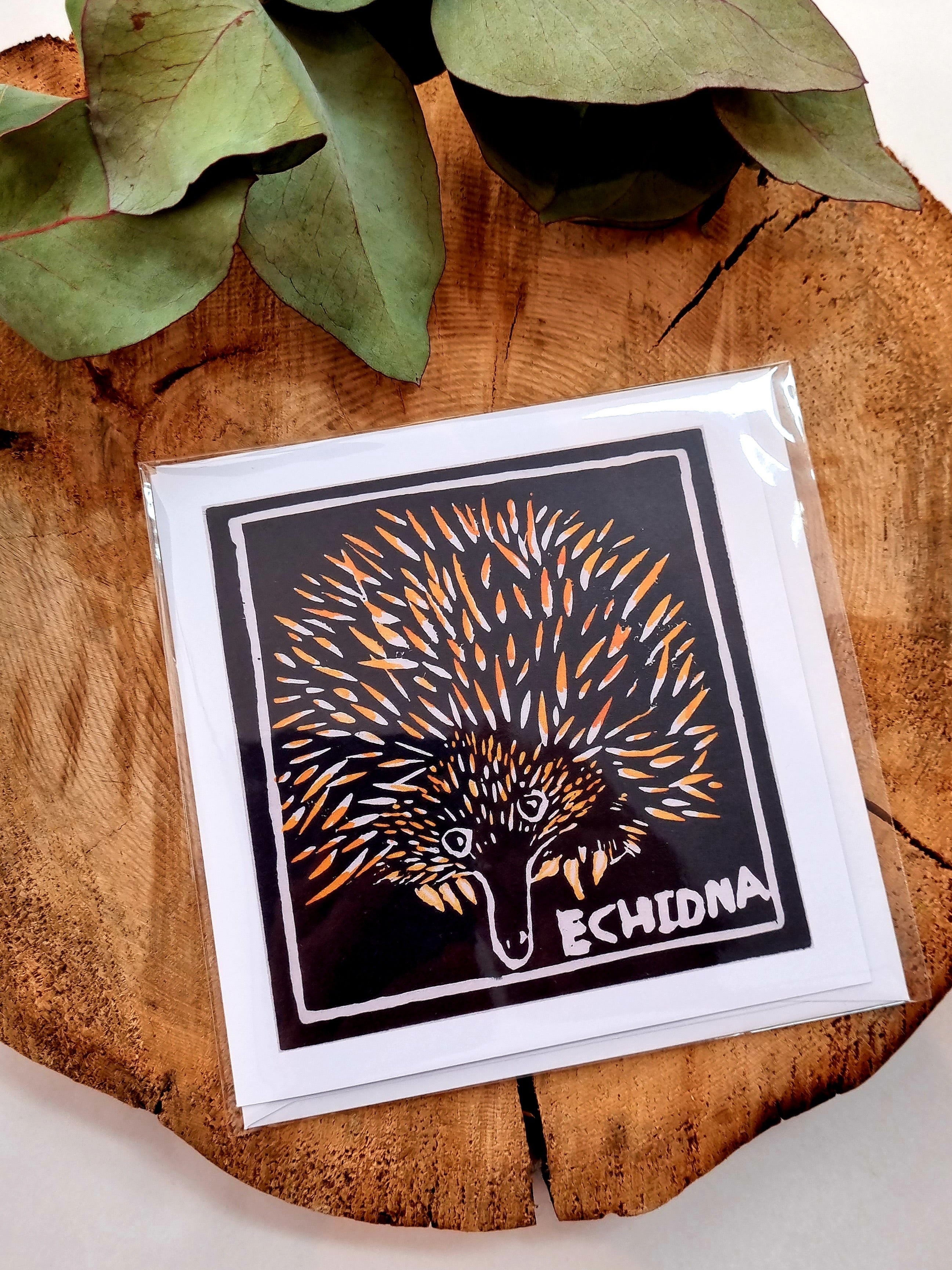 Tasmanian Greeting Cards by Ilana Bea Designs greeting cards Ilana Bea Designs Echidna 