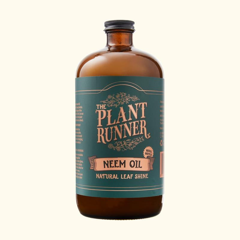 plant runner indoor plant food THE PLANT RUNNER INDOOR PLANT FOOD – The Spotted Quoll