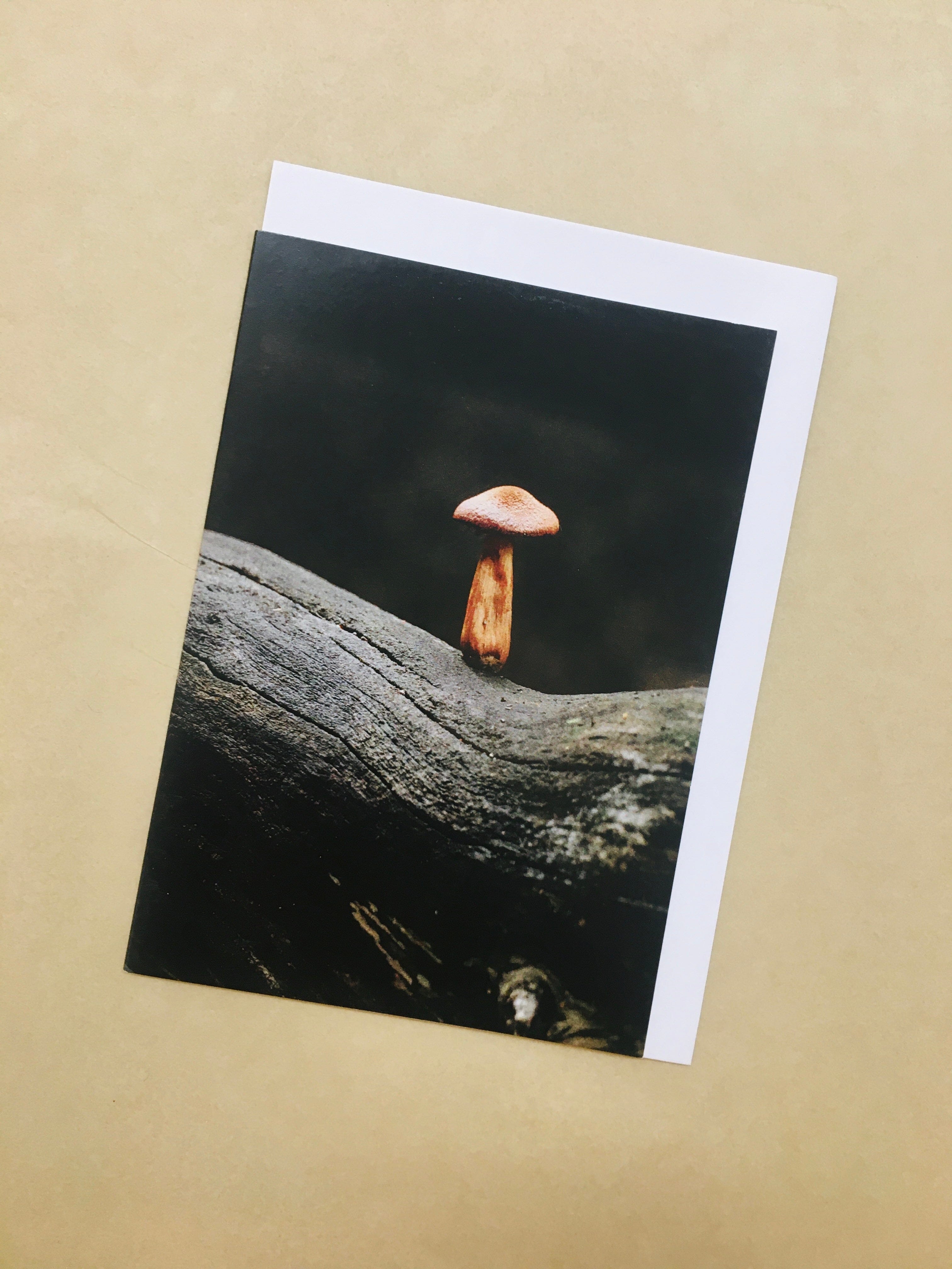 Huon Douglas Greeting Cards cards Huon Douglas Photography Mushroom 