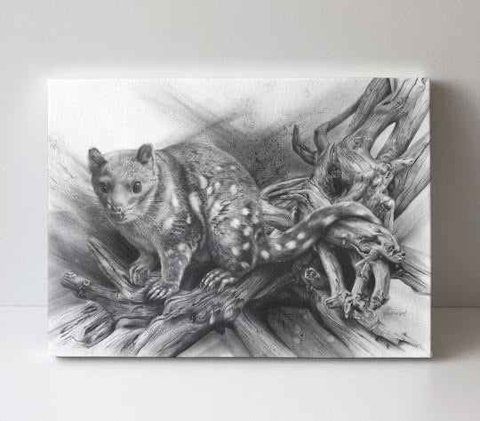 Fiona Francois Greeting Cards greeting cards Fiona Francois Spotted Quoll 