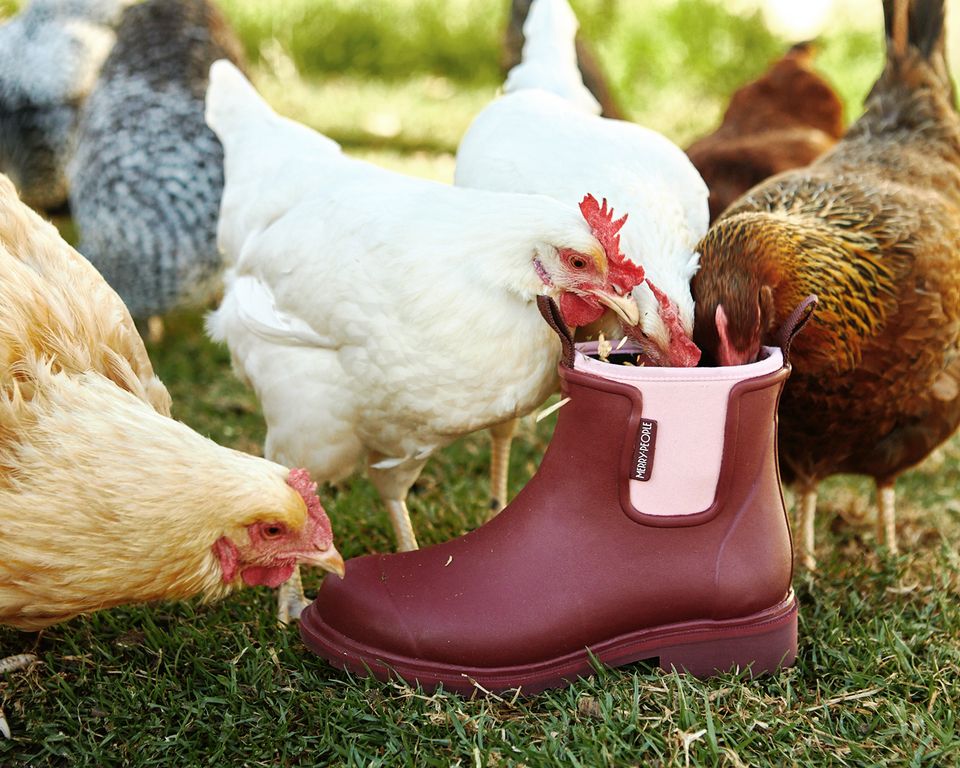 Bobbi Gumboots (Extra Traction) - Merry People shoes Merry People Beetroot/Pink 36 