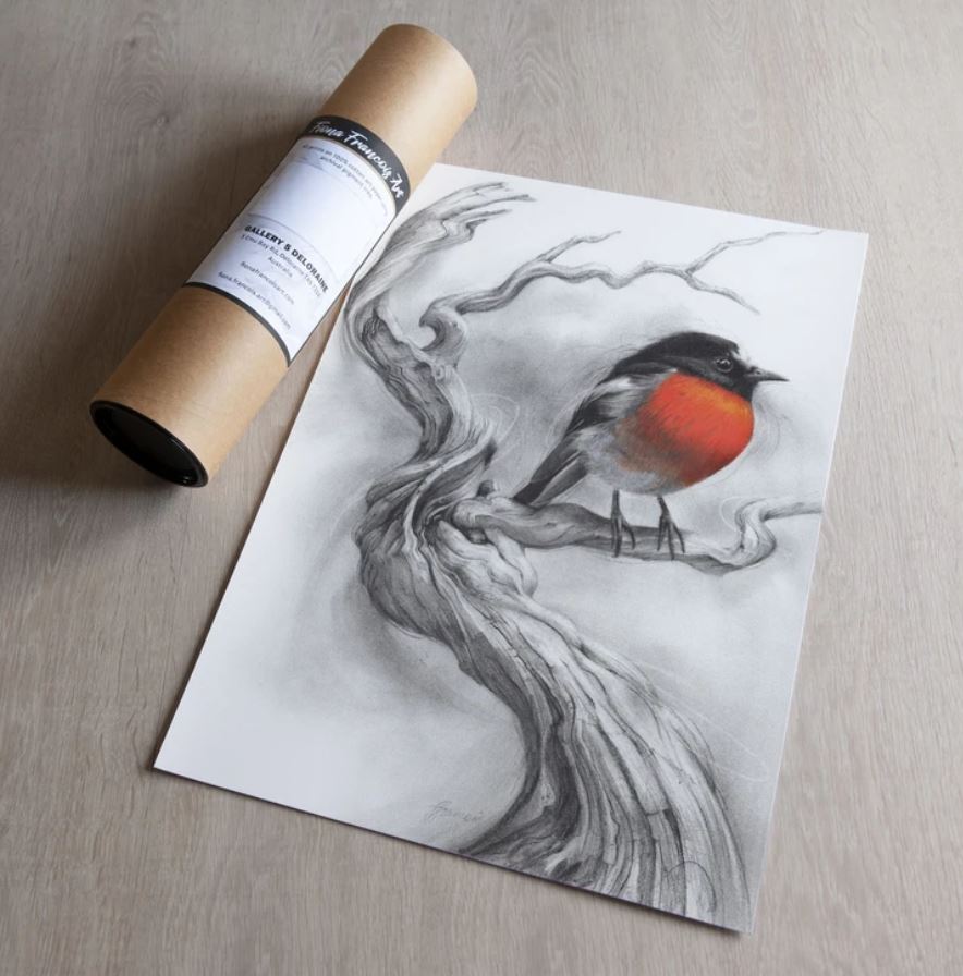 'Scarlet Robin'' Art Print - Fiona Francois Art Print Fiona Francois 