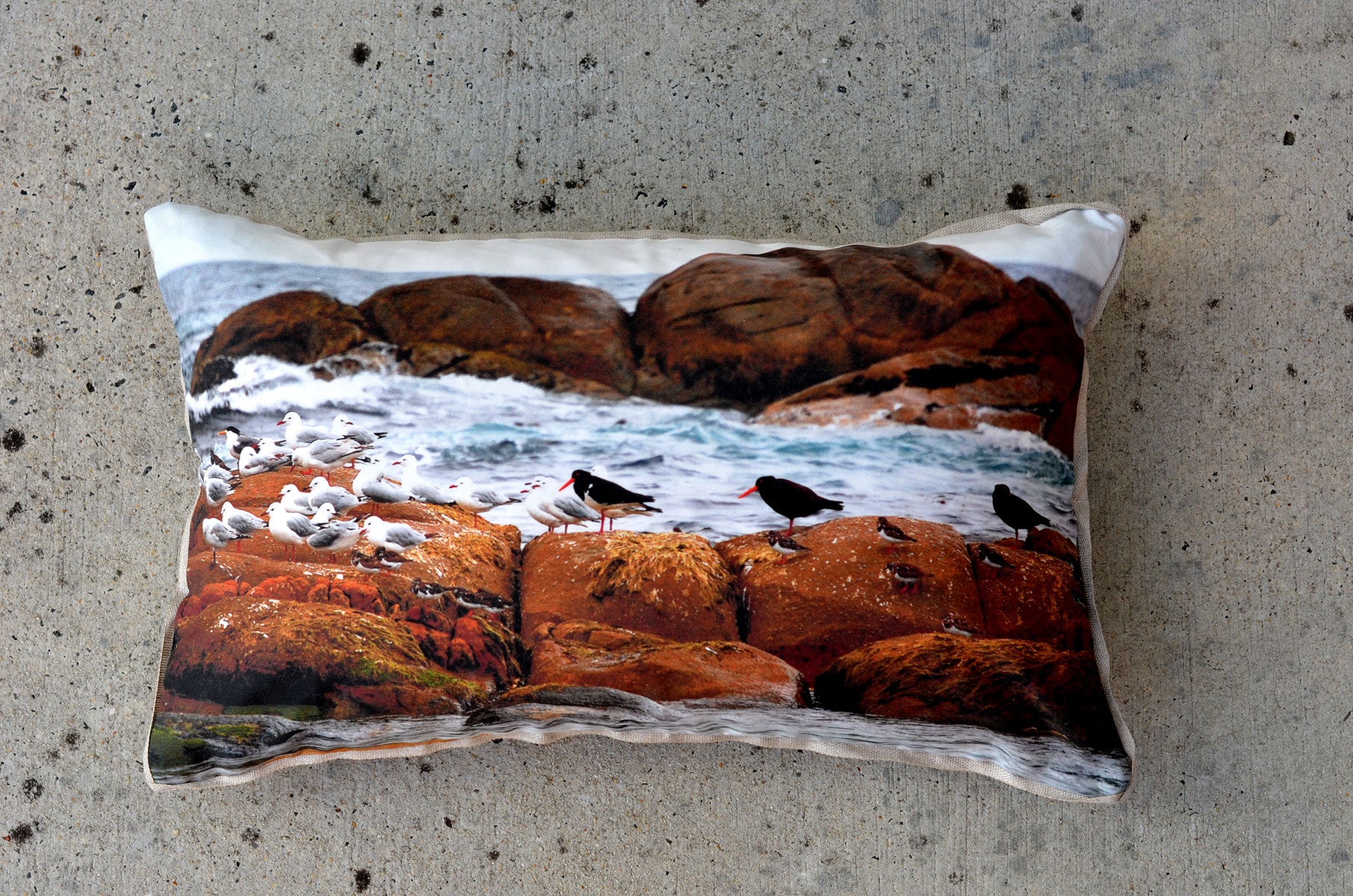 Resting Rock Cushion Cushions The Spotted Quoll 35 x 55cm 