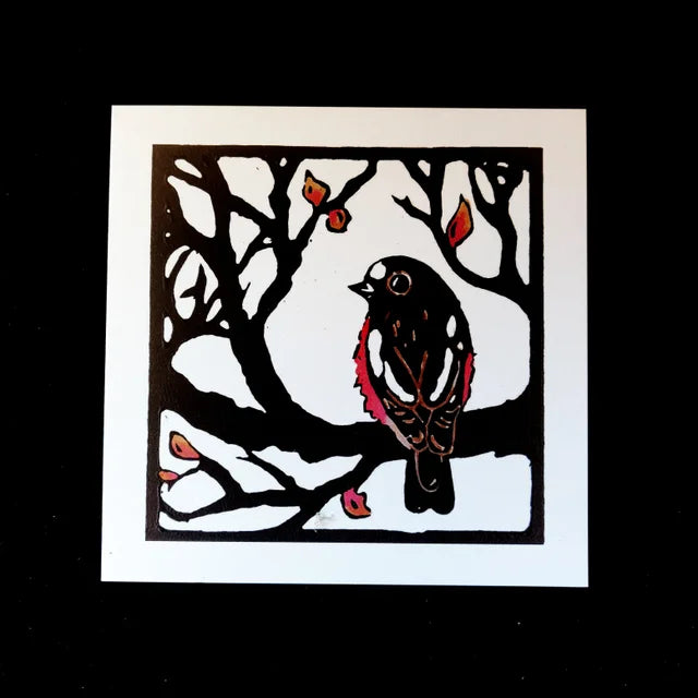 Tasmanian Greeting Cards by Ilana Bea Designs greeting cards Ilana Bea Designs Scarlet Robin 