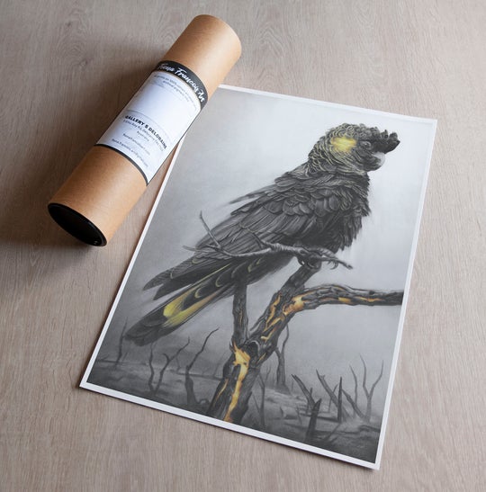 'Black Cockatoo' Art Print - Fiona Francois Art Print Fiona Francois 